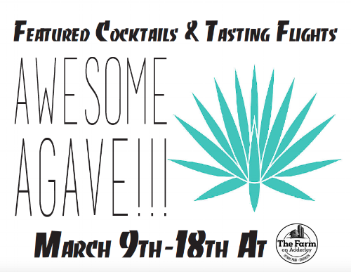 awesome agave pic.png