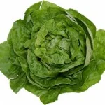 lettuce