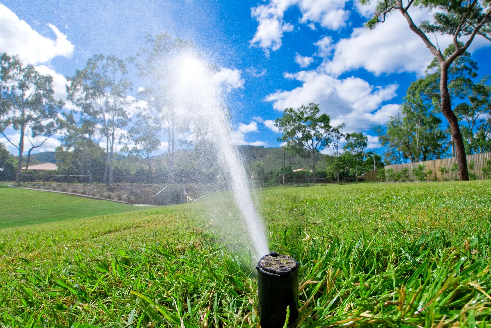 Lawn Watering.jpg