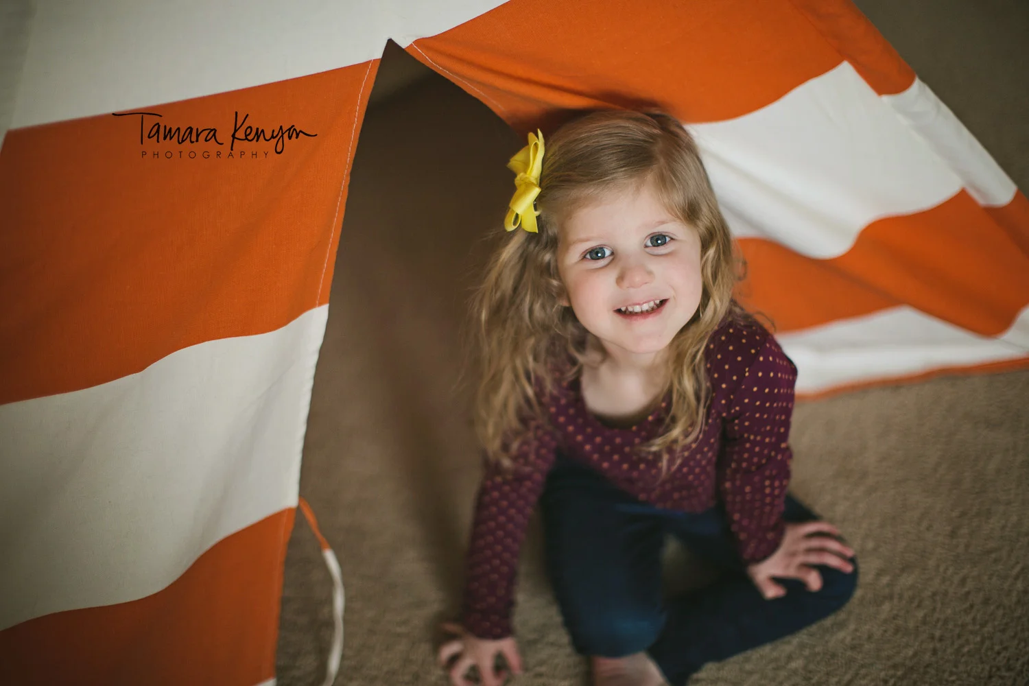 Chevron_Tent_.jpg