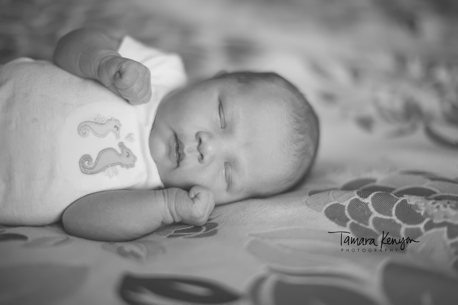 Newborn_sleeping_photographer