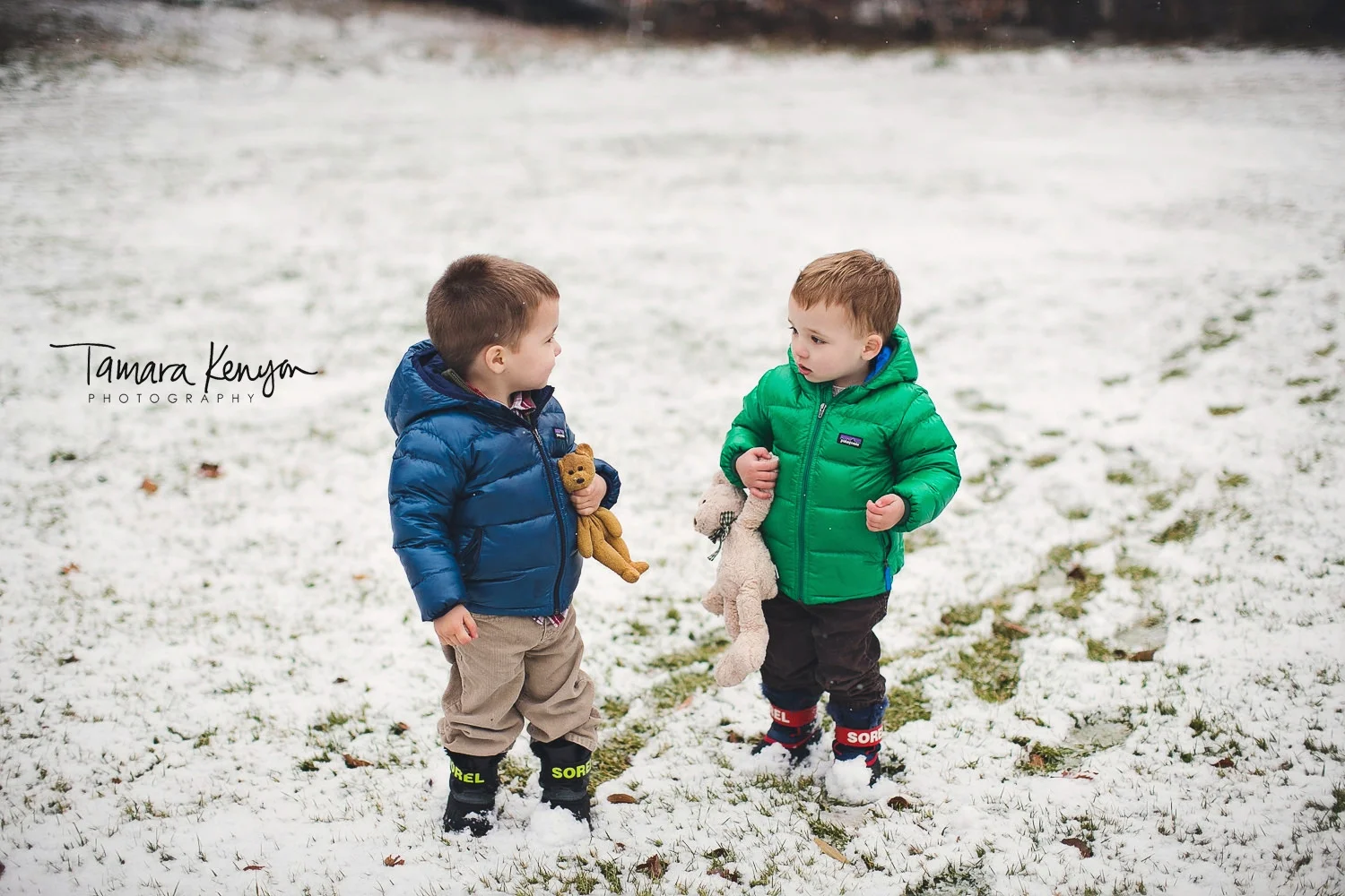 twin brothers in the snow