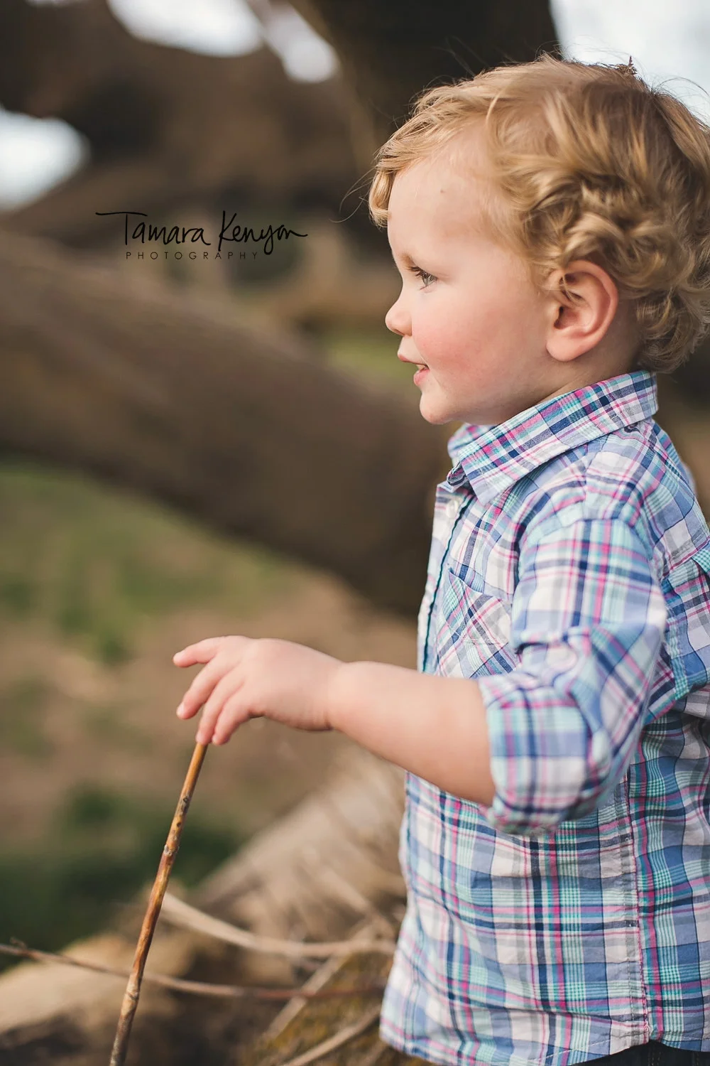 tamara kenyon photography