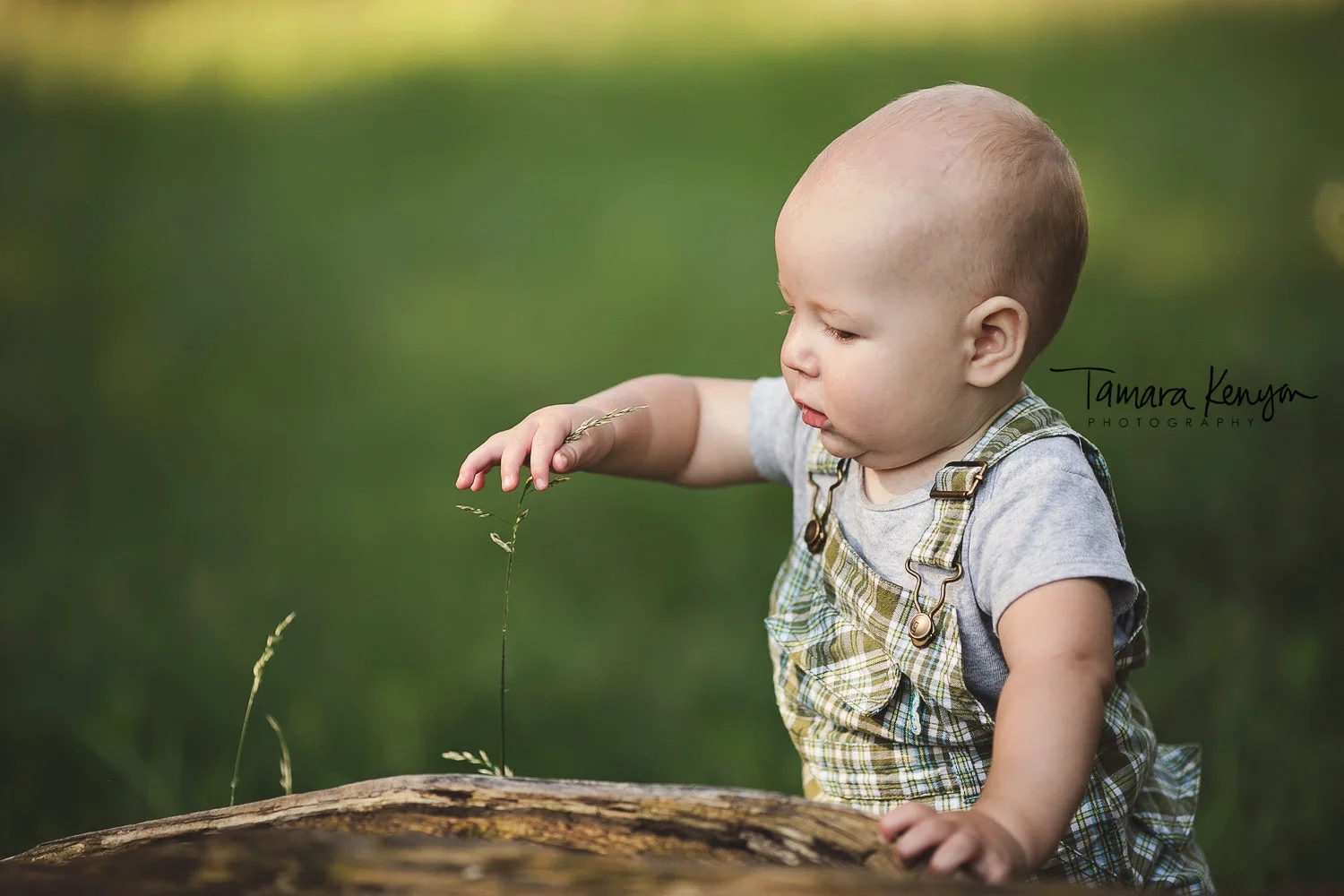 child photographers in boise