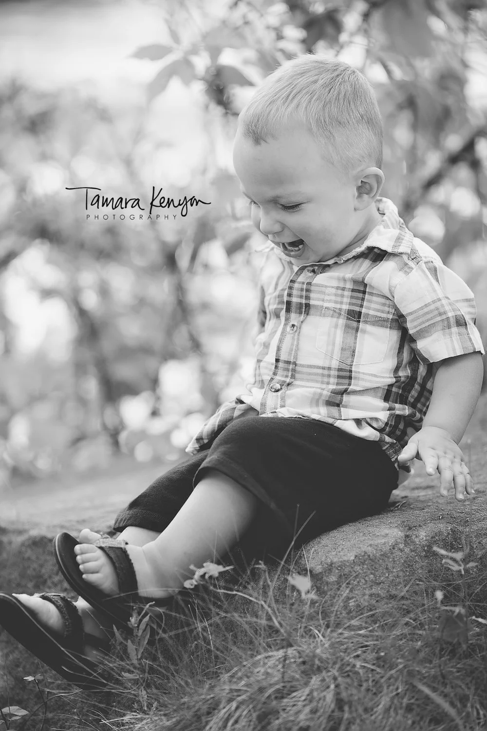 tamara kenyon photography