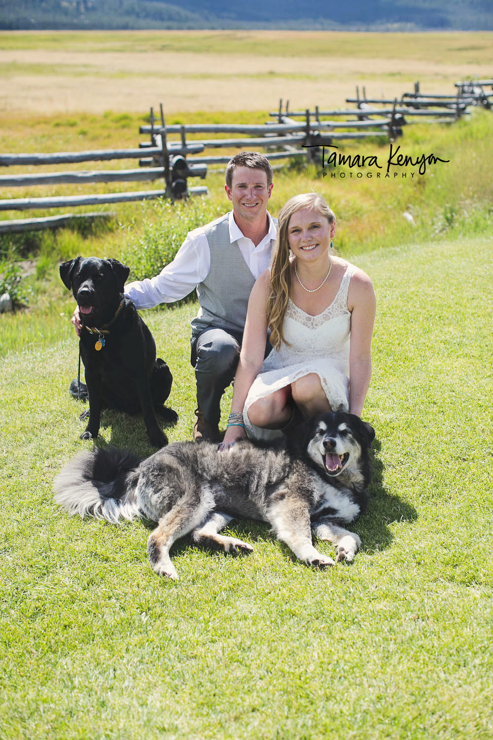 wedding photo with dogs