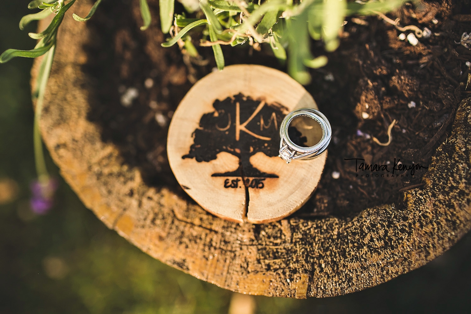 wedding rings on wooden logs wedding details