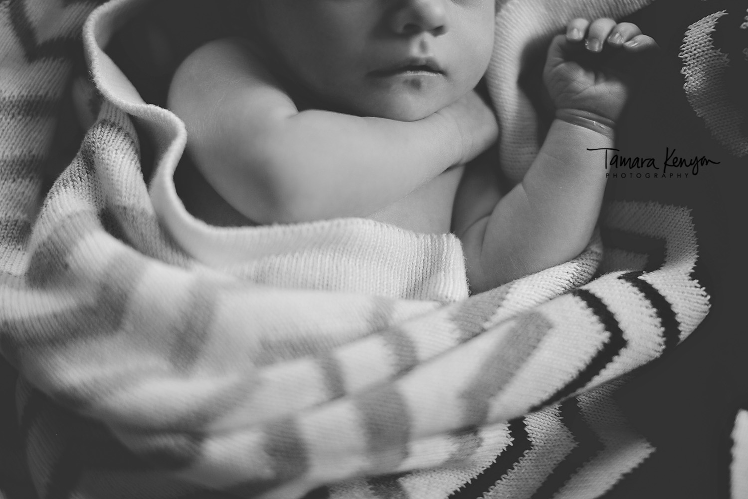 family photographer in boise newborn