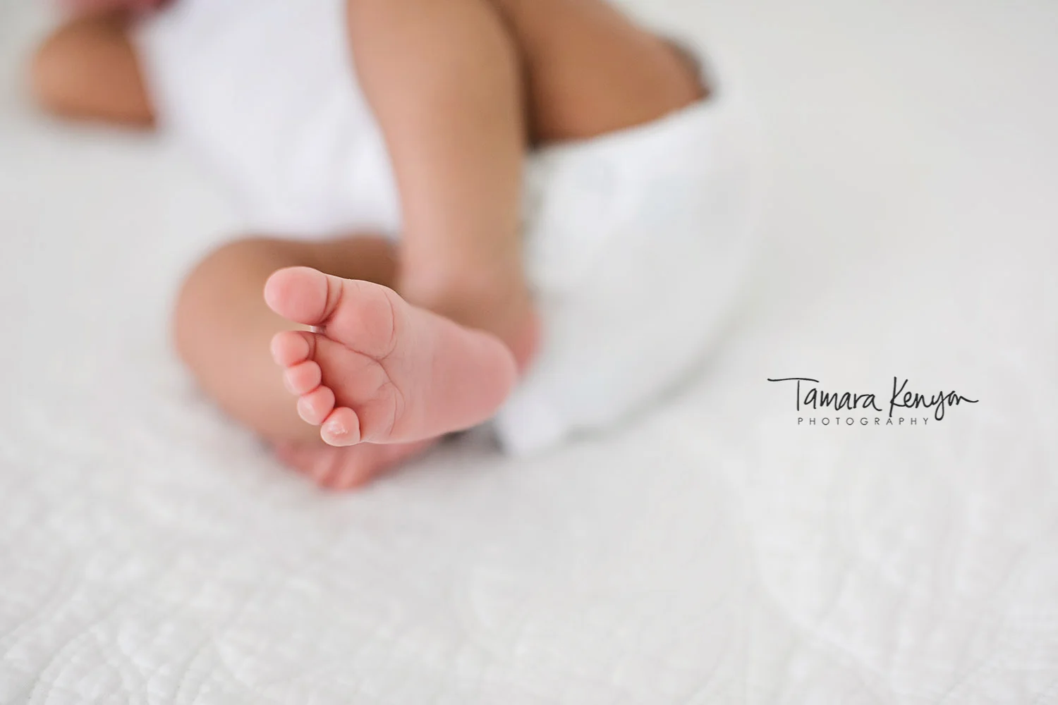 ©Tamara Kenyon Photography | http://tamarakenyon.com