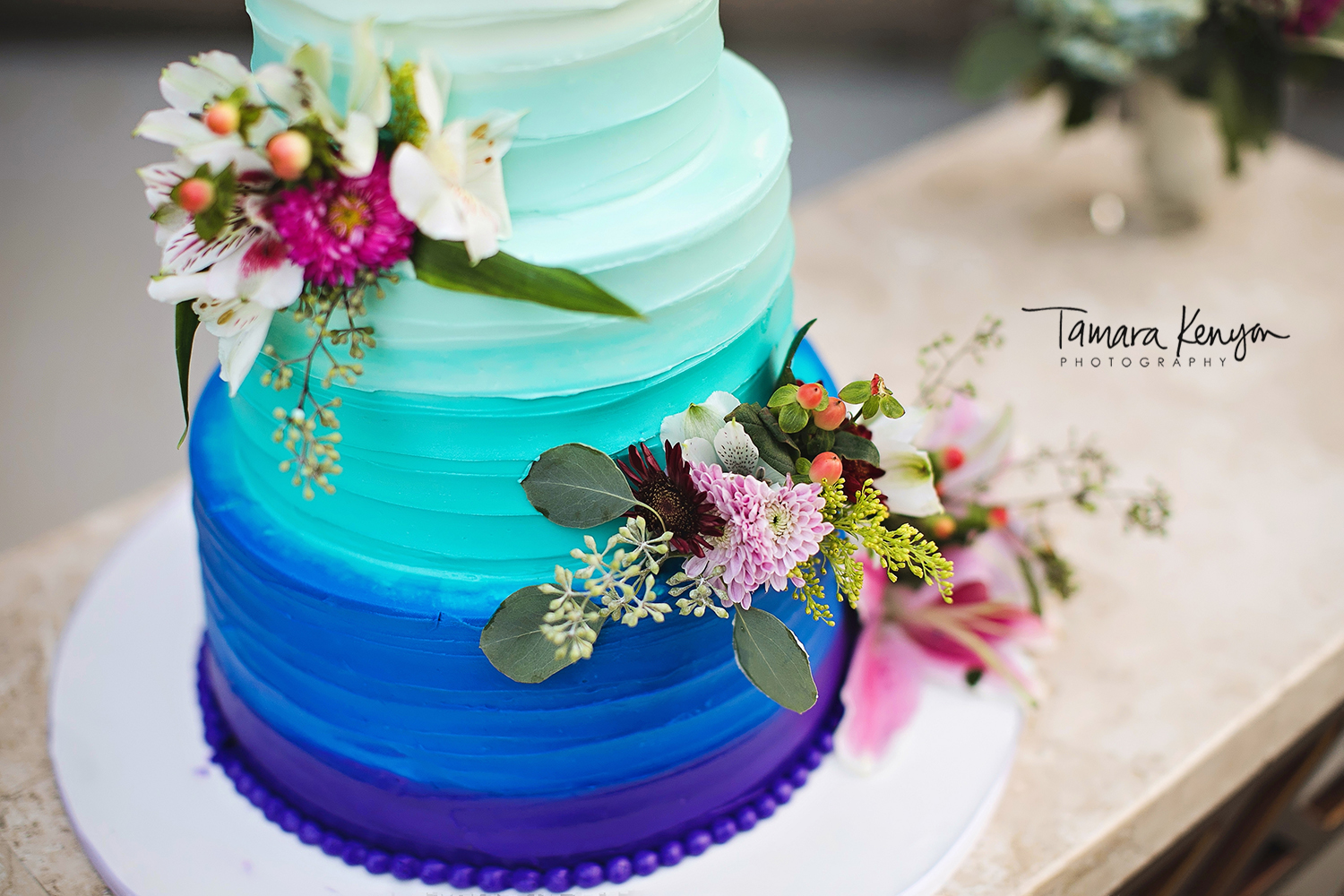 ©Tamara Kenyon Photography | http://tamarakenyon.com