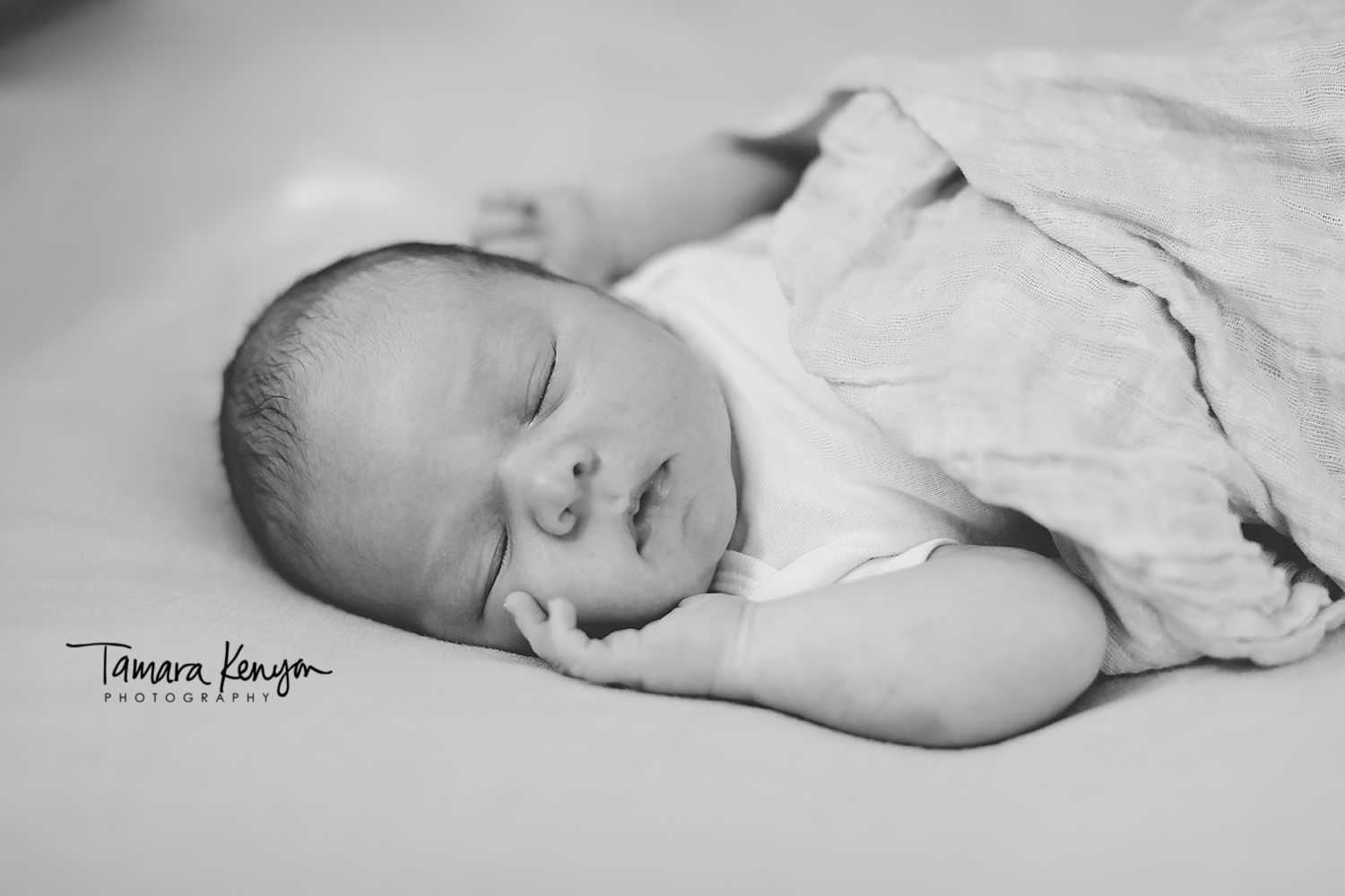 newborn photographer in boise