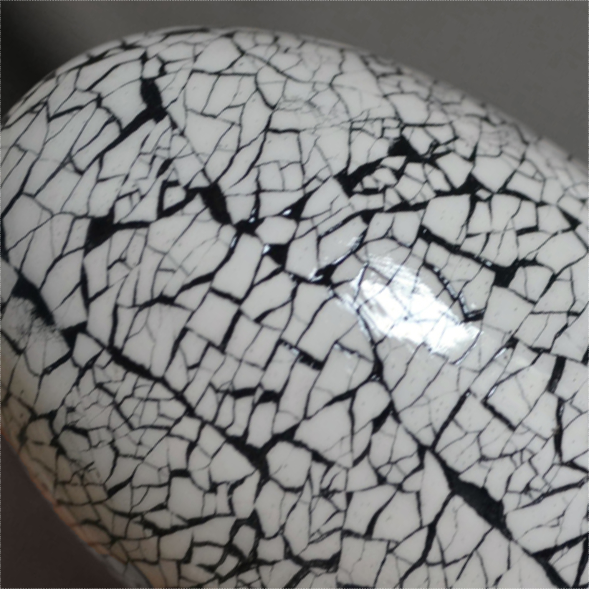 eggshell-curved-surface.jpg