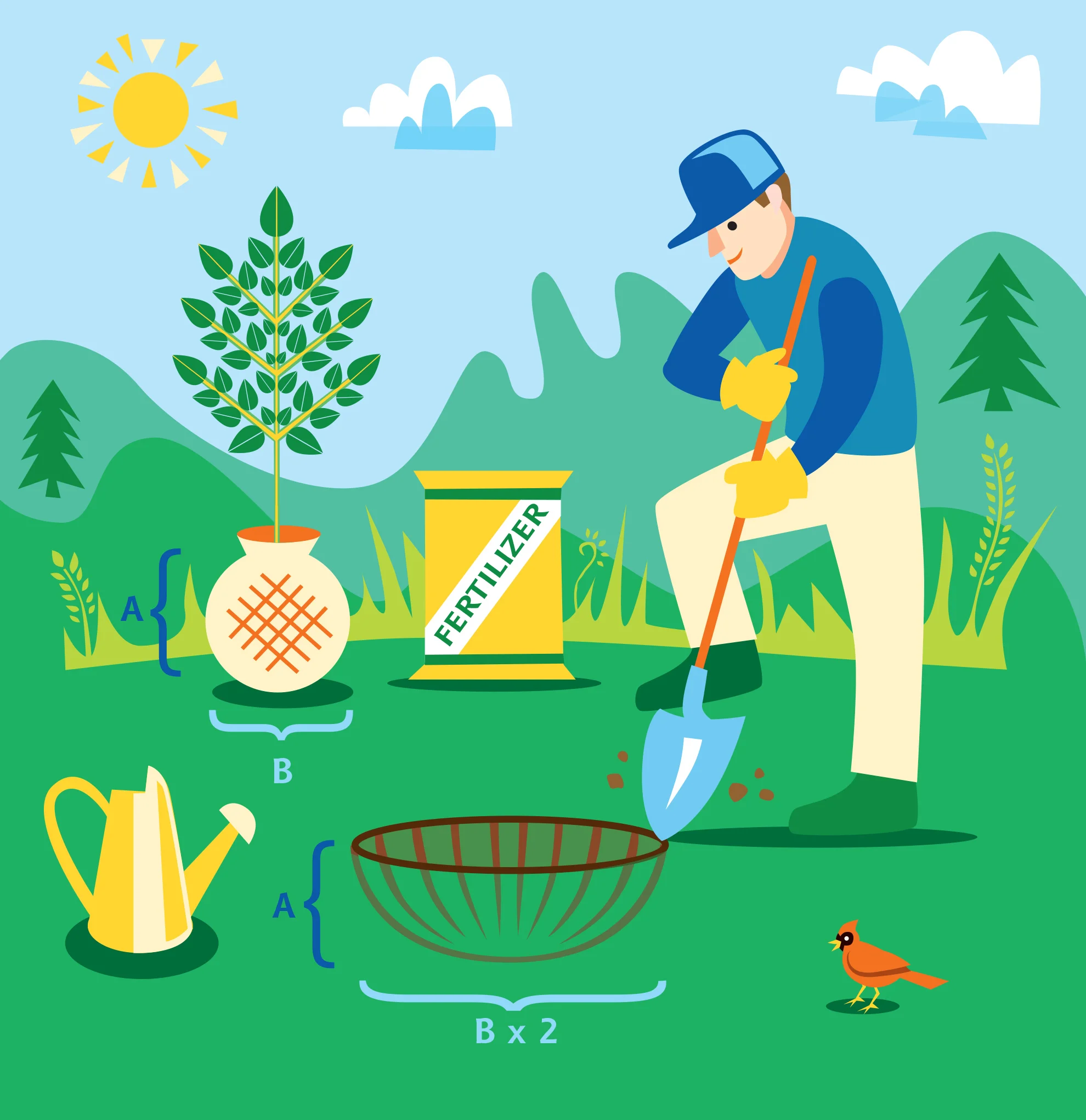 How to Plant a Tree / Lowe's Home Improvement