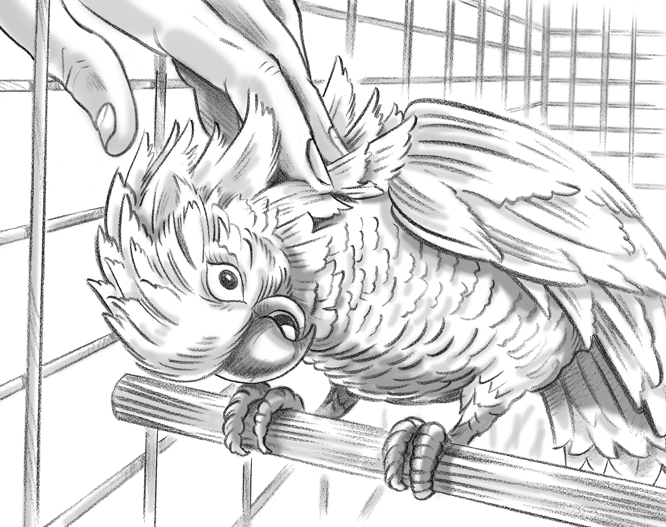 Cockatoo/Pet Logic