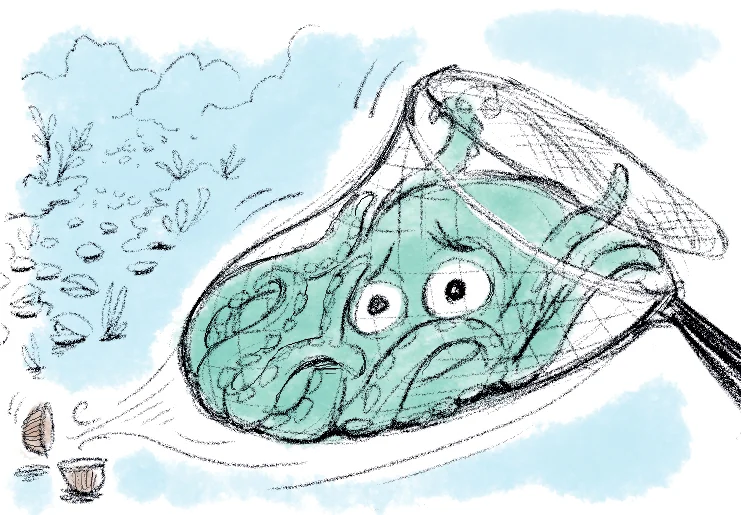 octo001.jpg