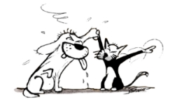 The logo for FuzzeeSock. I wonder what the cat is telling him? (Copyright © 2010 Jeremy Siew, All Rights Reserved)