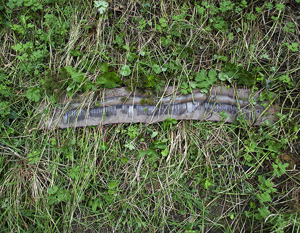 Furness.Arnauts.Image1.jpg