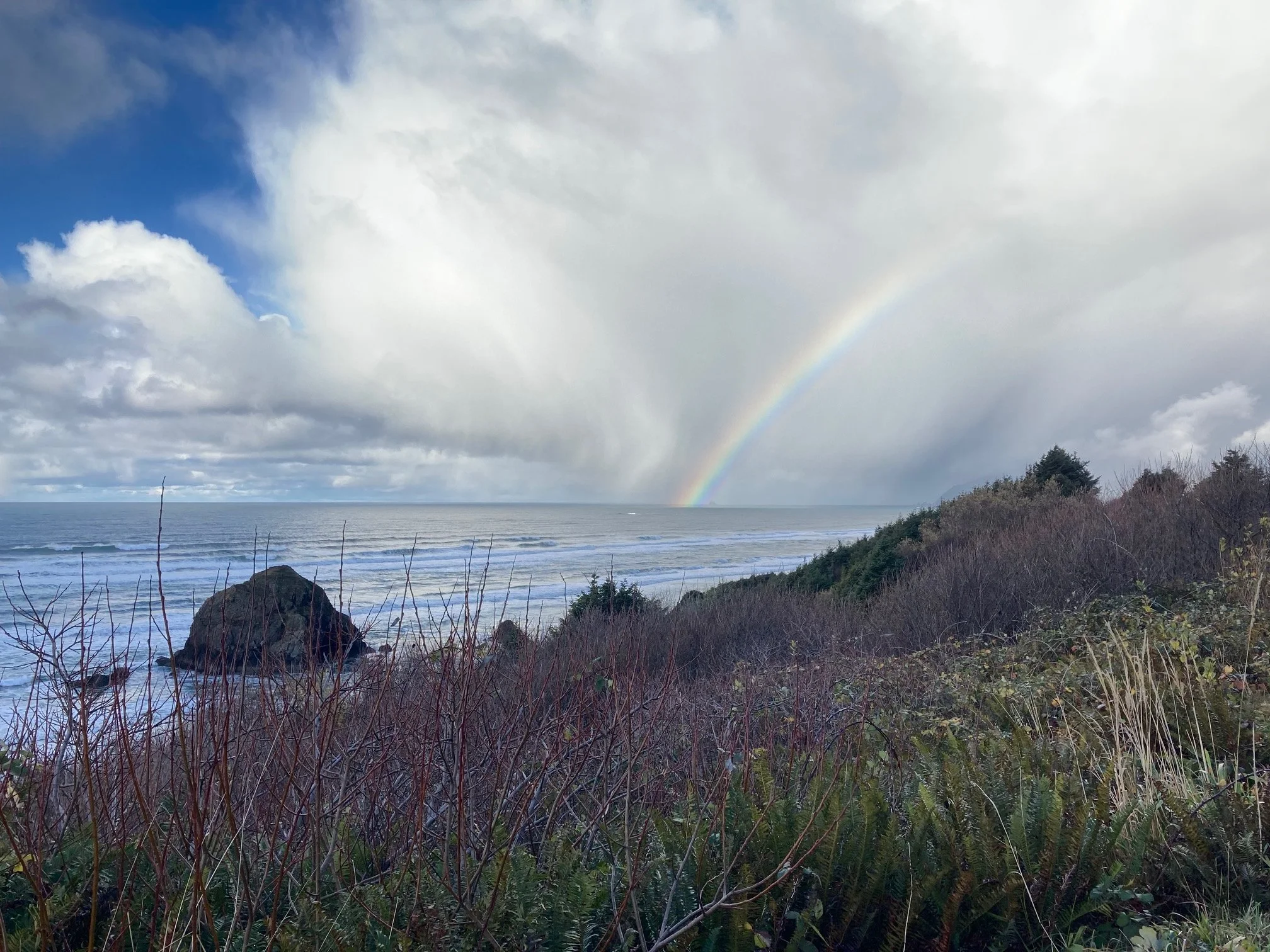 rainbow.jpeg