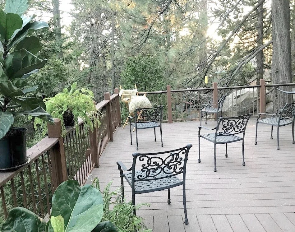 03-estPURE.co_pure_mountain_wellness_couthern_california_meditation.class.lake.arrowhead.california copy.jpg