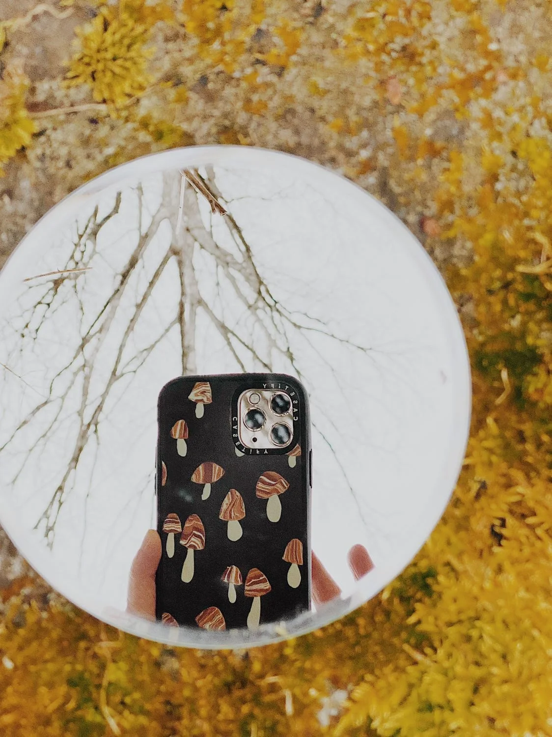 Click image to shop cell phone cases, apple watch bands and more! All made from images of my ceramics