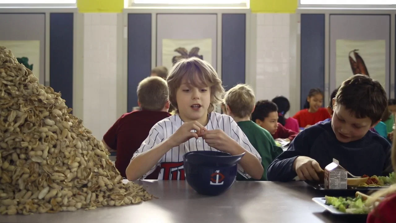 Minnesota Twins - In My Blood