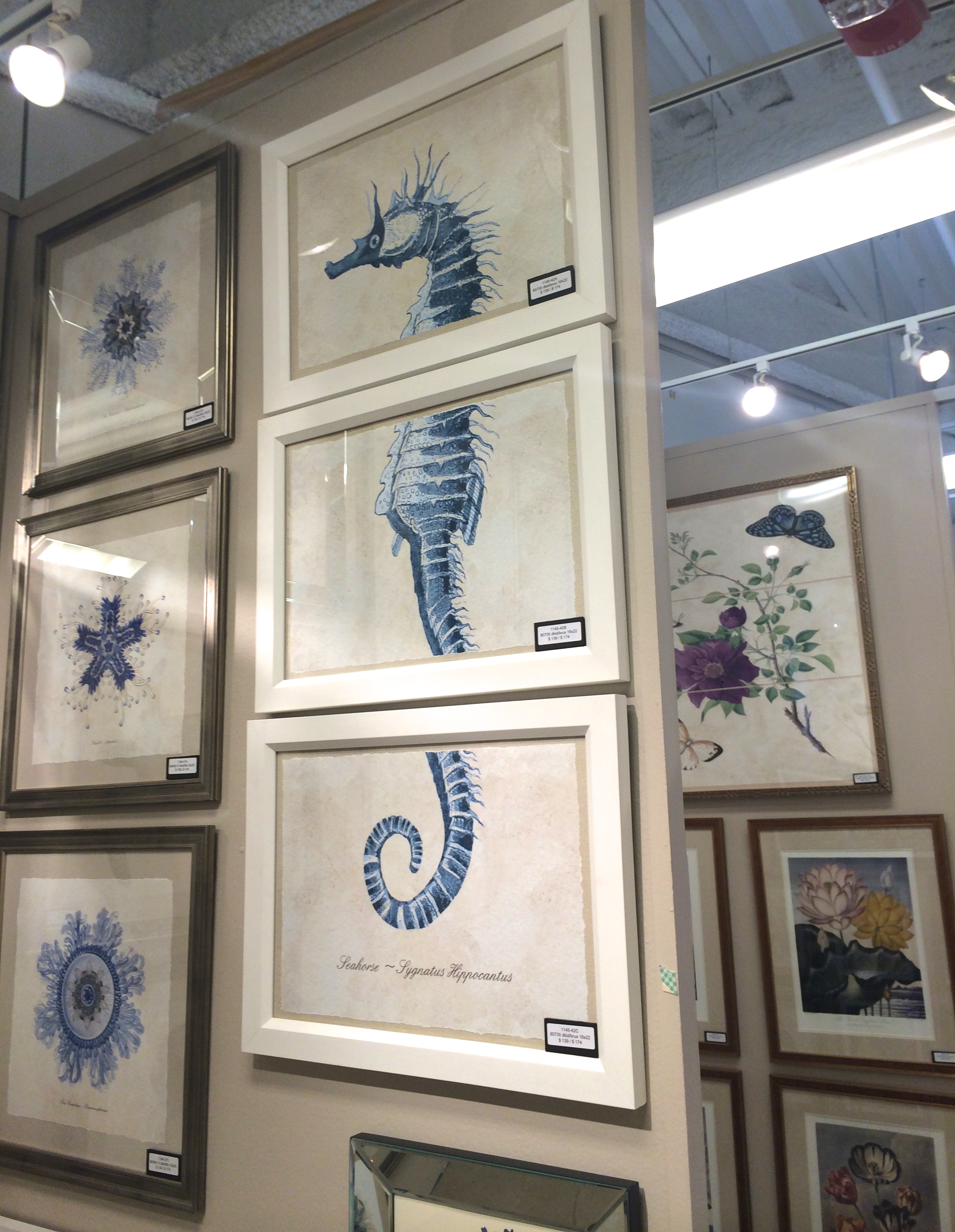 Love the seahorse - lots of other fun sea creature prints available here, too!
