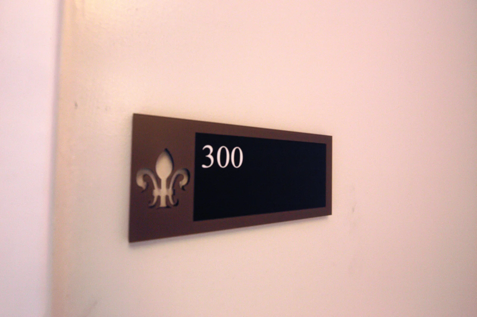 300.jpg