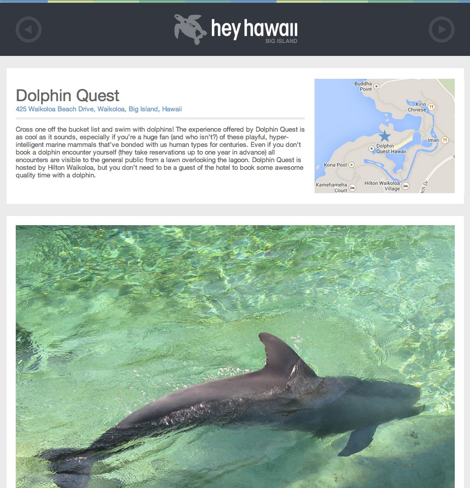 Dolphin Quest.jpg