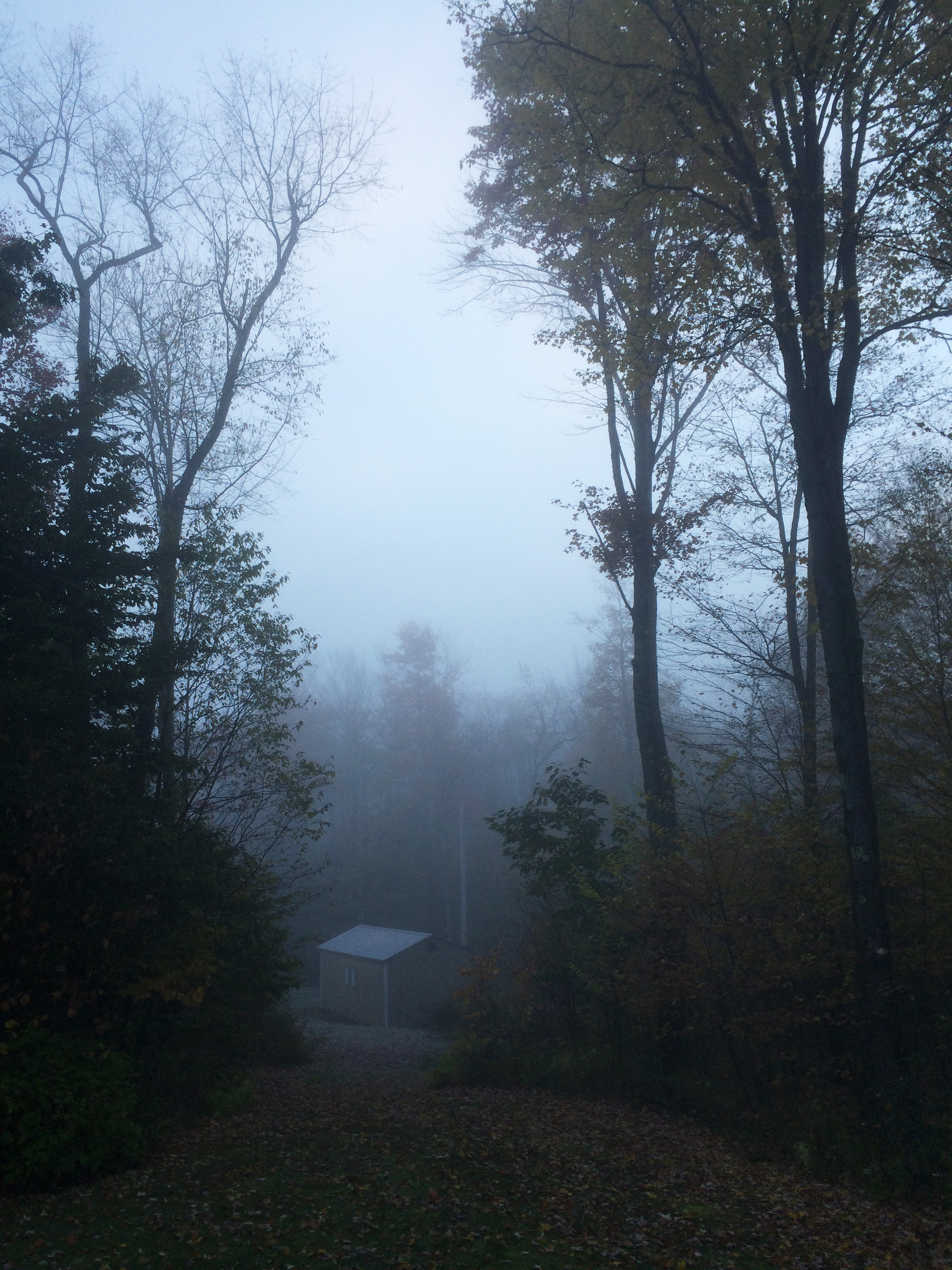 cabin.jpg