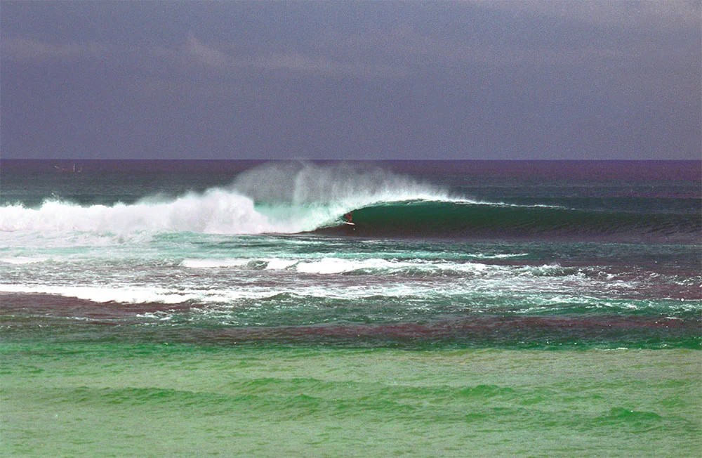 chris-indo1.jpg