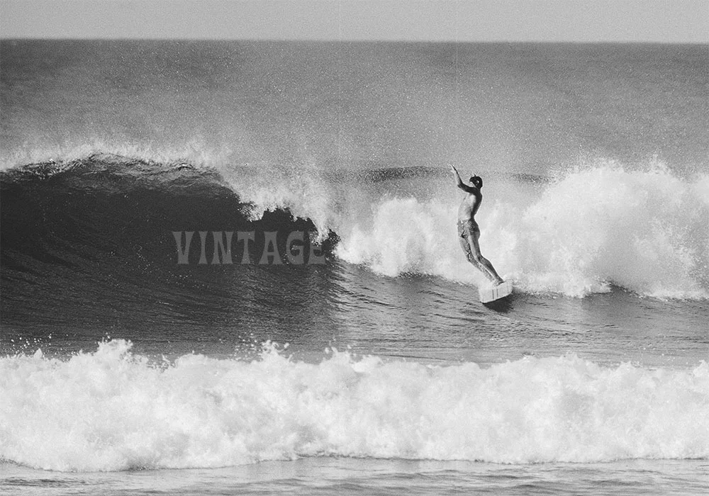 #7 Butch Van Artsdalen - Haleiwa, Hi 1962 bw092