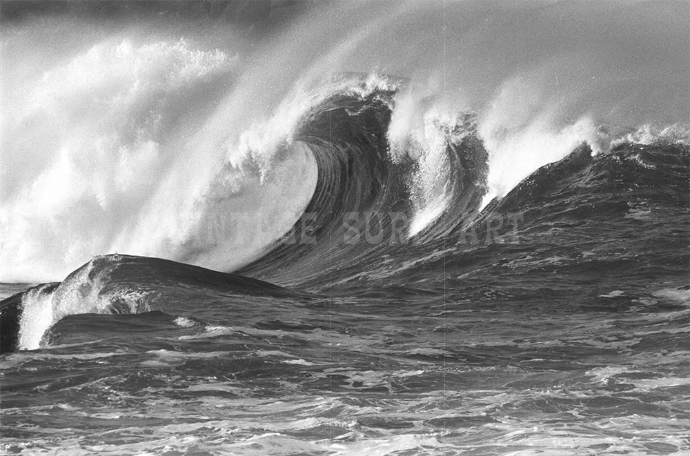 #55 Waimea Bay, Hi 1962 bw012