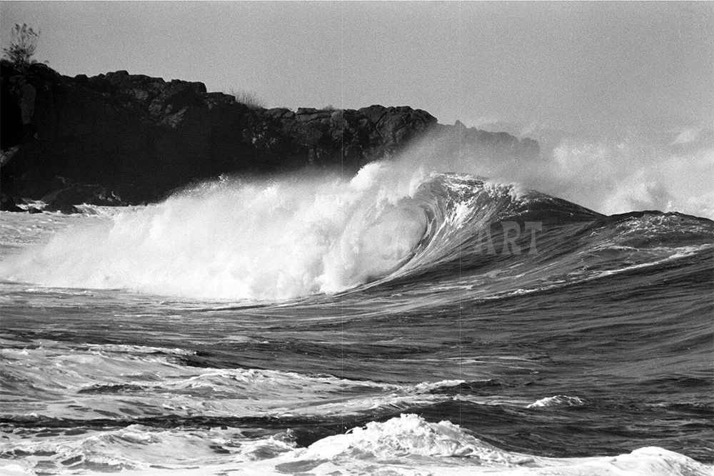 #59 Waimea Bay, Hi 1962 bw007
