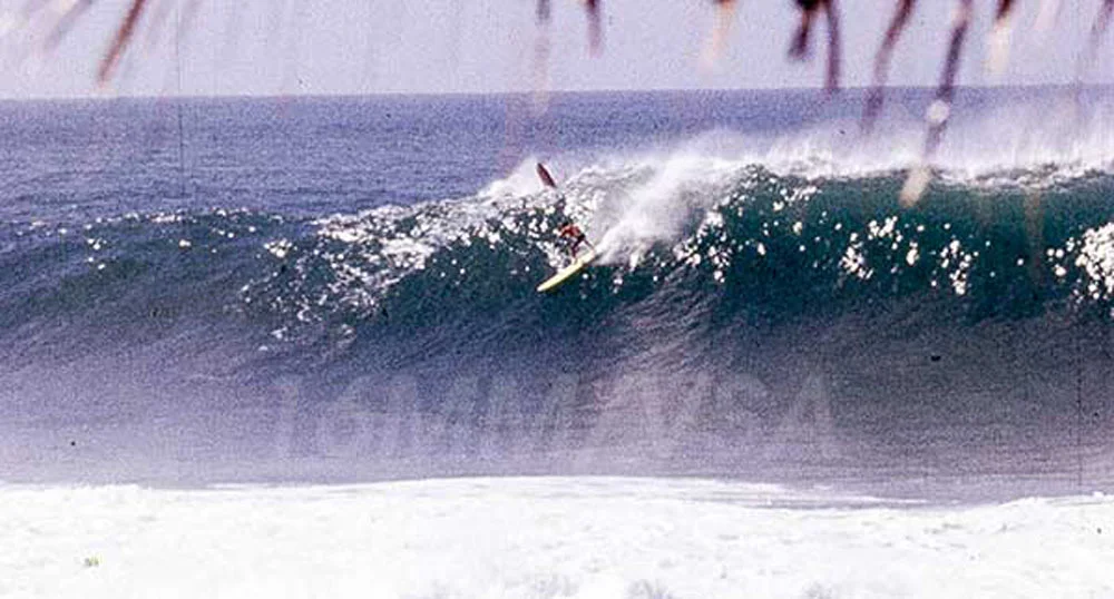 Surf #27 Greg Noll Waimea Bay, Hi 1961