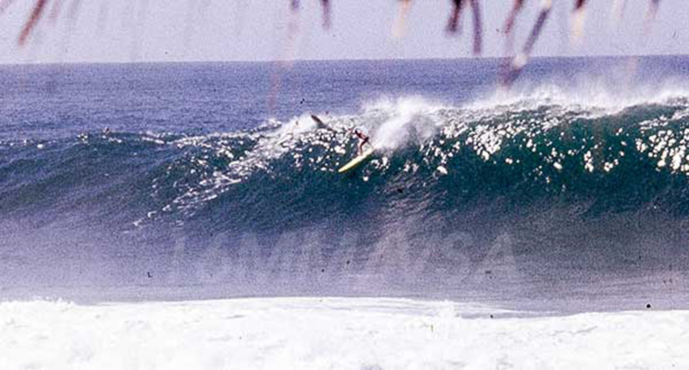 Surf #28 Greg Noll Waimea Bay, Hi 1961