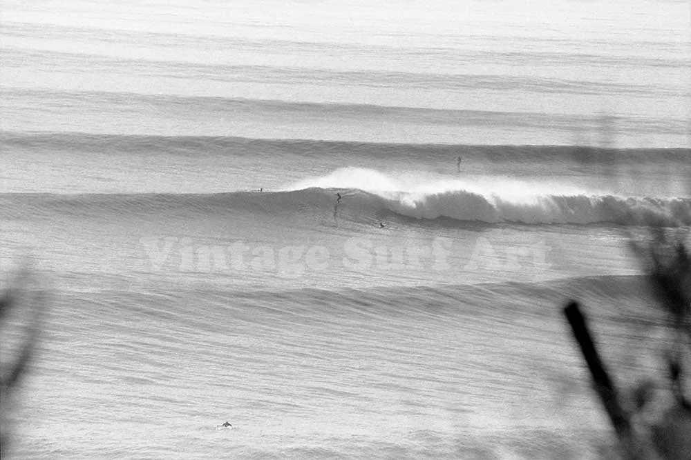 CR Ranch croldnew_041-20x30 crop w.jpg