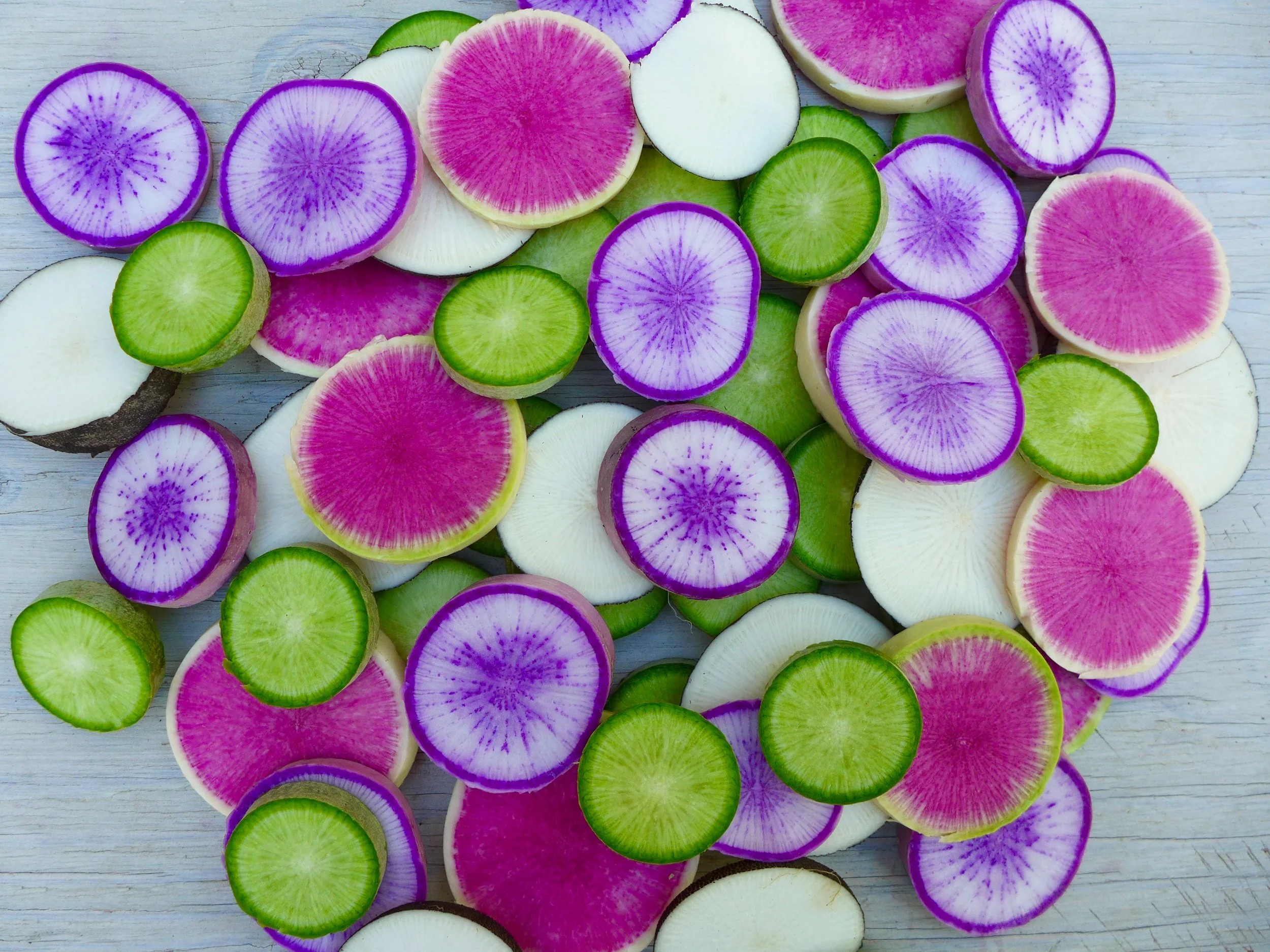 Fall radishes : Purple Daikon, Green daikon, Black Spanish, and Watermelon.