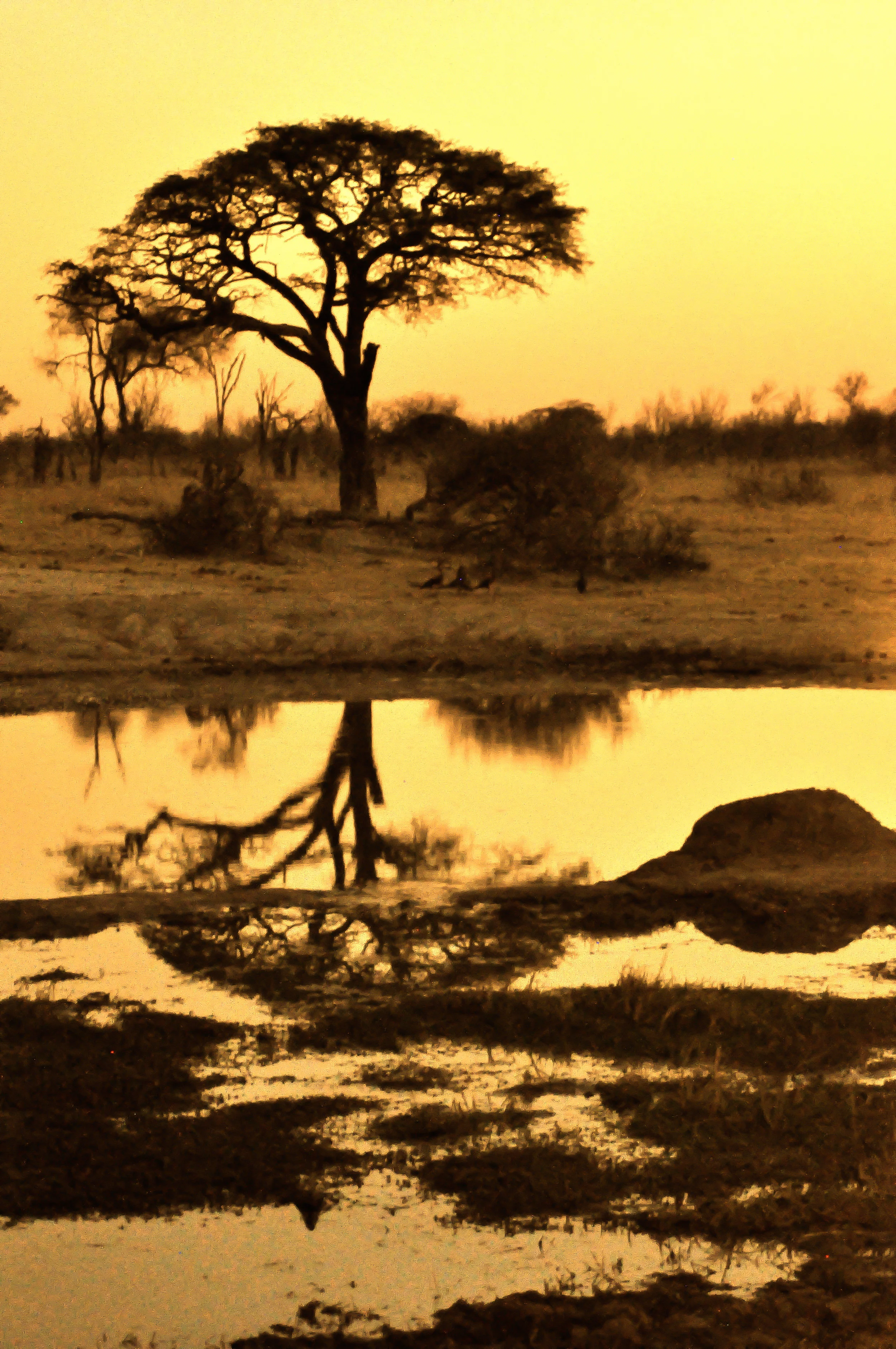 1009_websitepic_059.jpg