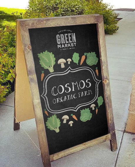 cosmos - mocked up.jpg