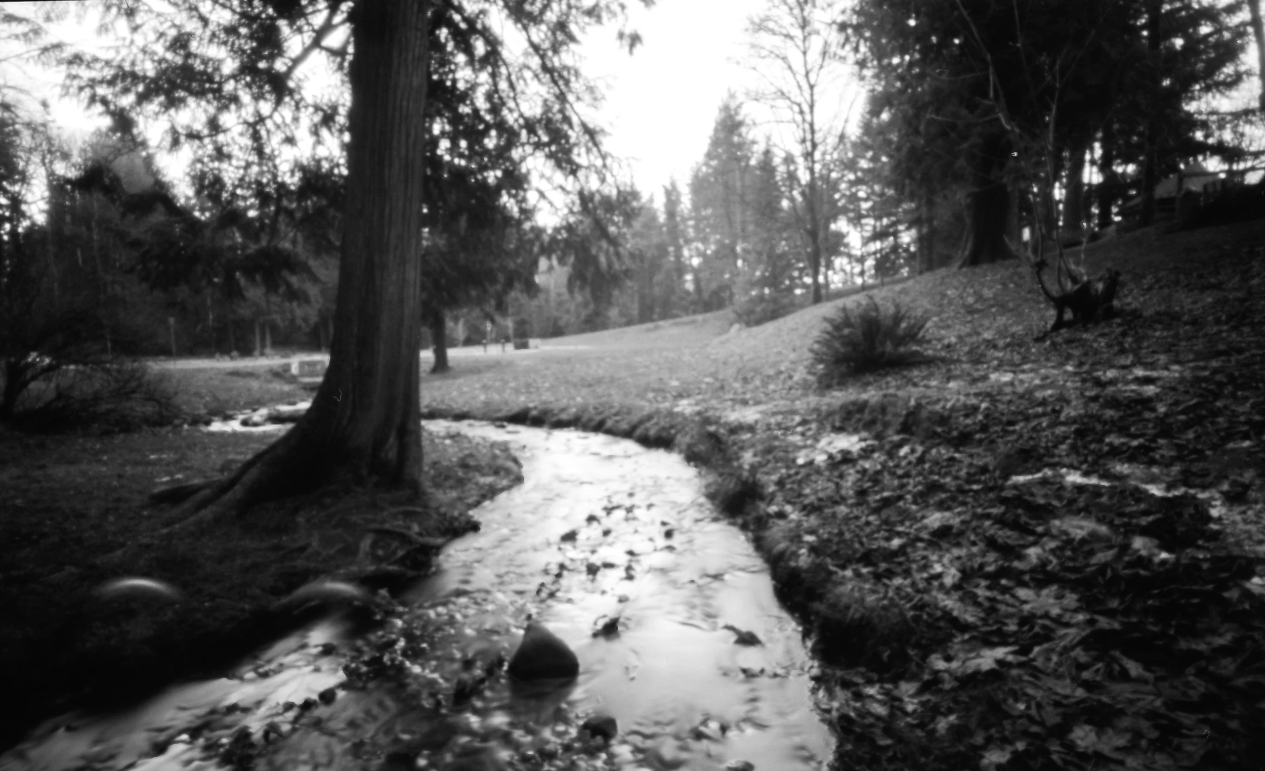 img006.jpg
