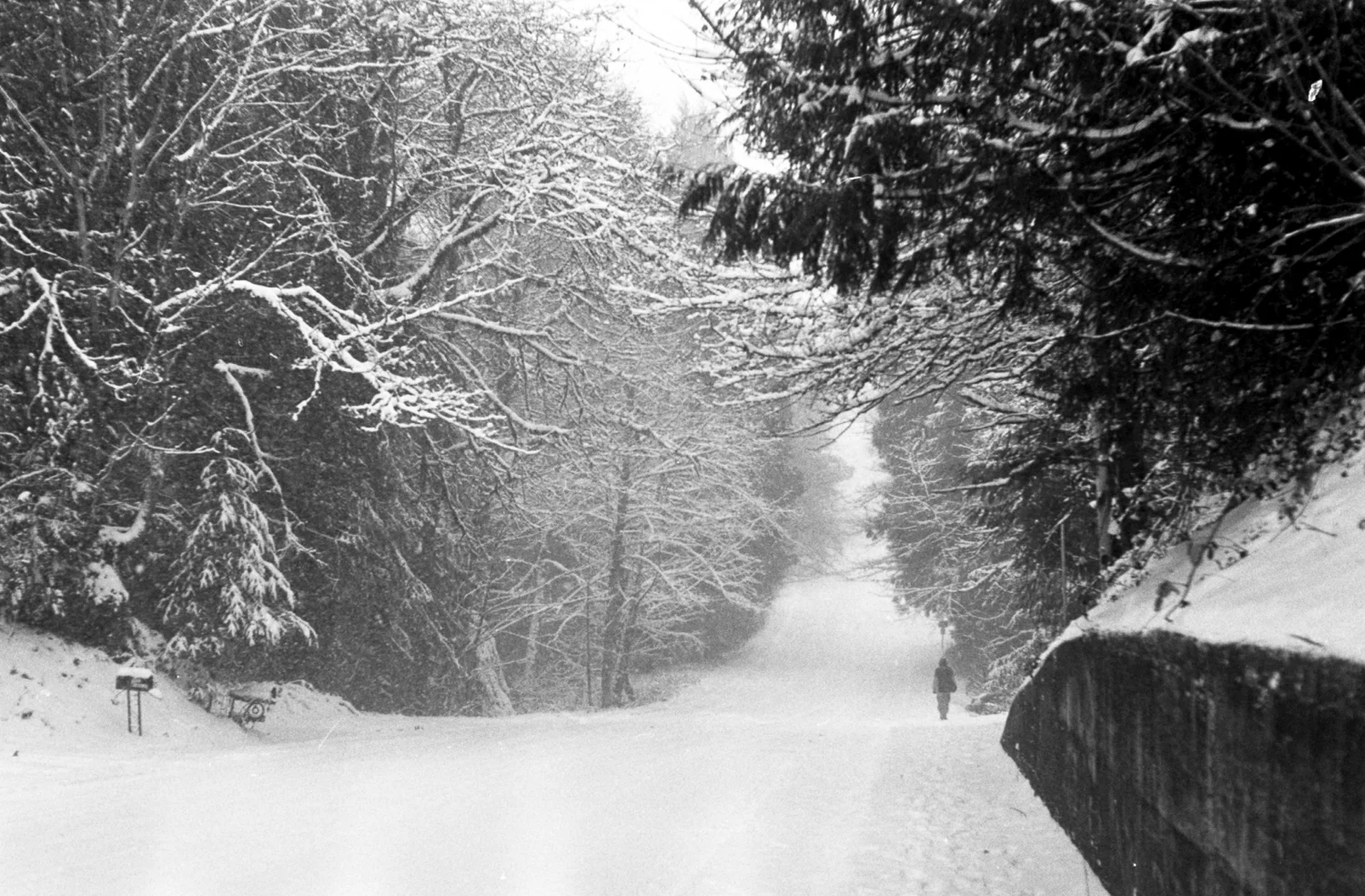 Walking in the blizzard