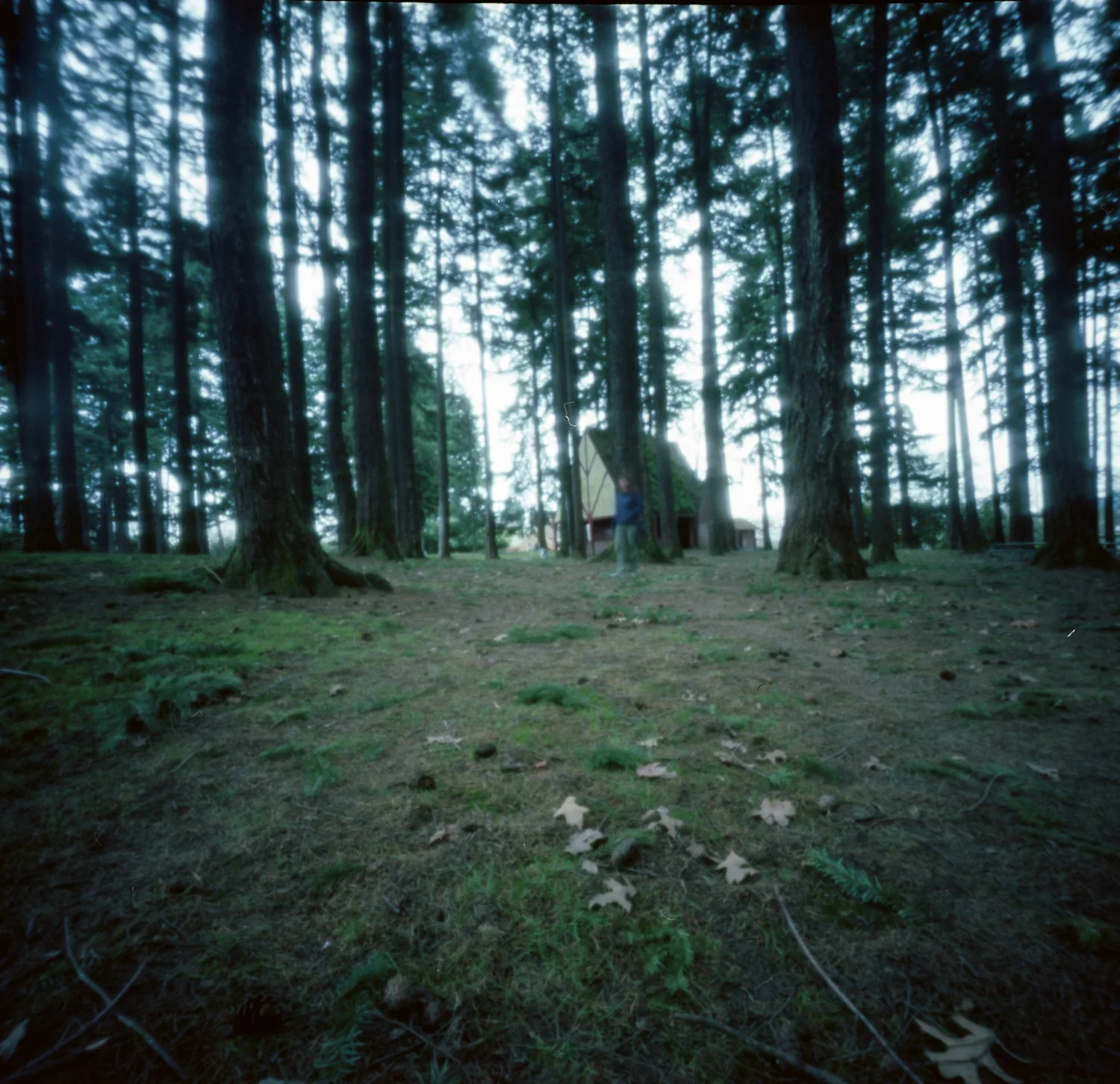 Oaks Park, Portland Oregon.
