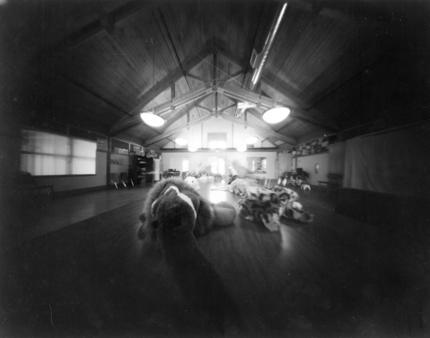 Pinhole, no extension frame (25mm). 4 minute exposure. 
