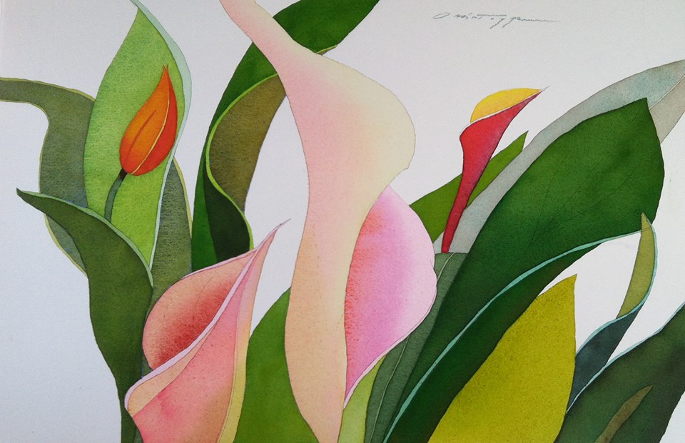 Callas and Tulips