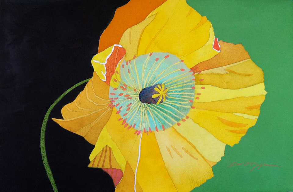 Yellow Poppy on Green and Black