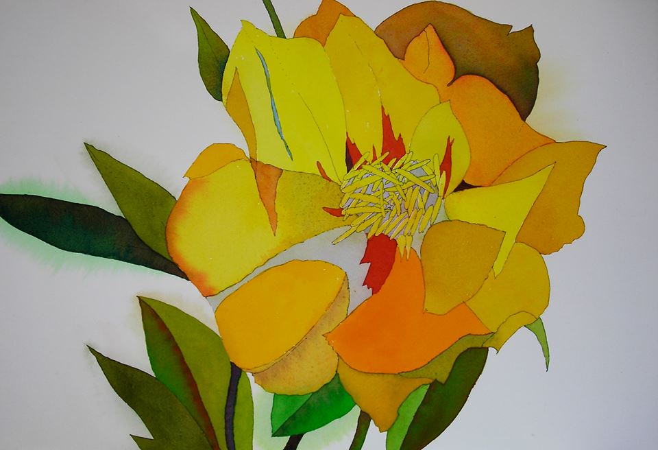 Yellow Peony