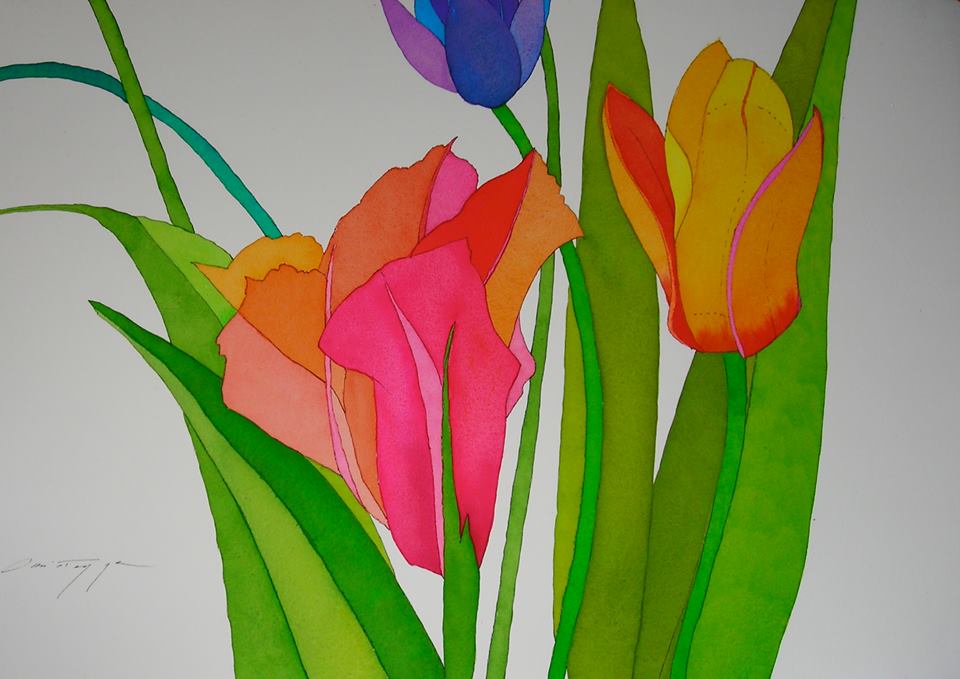 Three Tulips on White