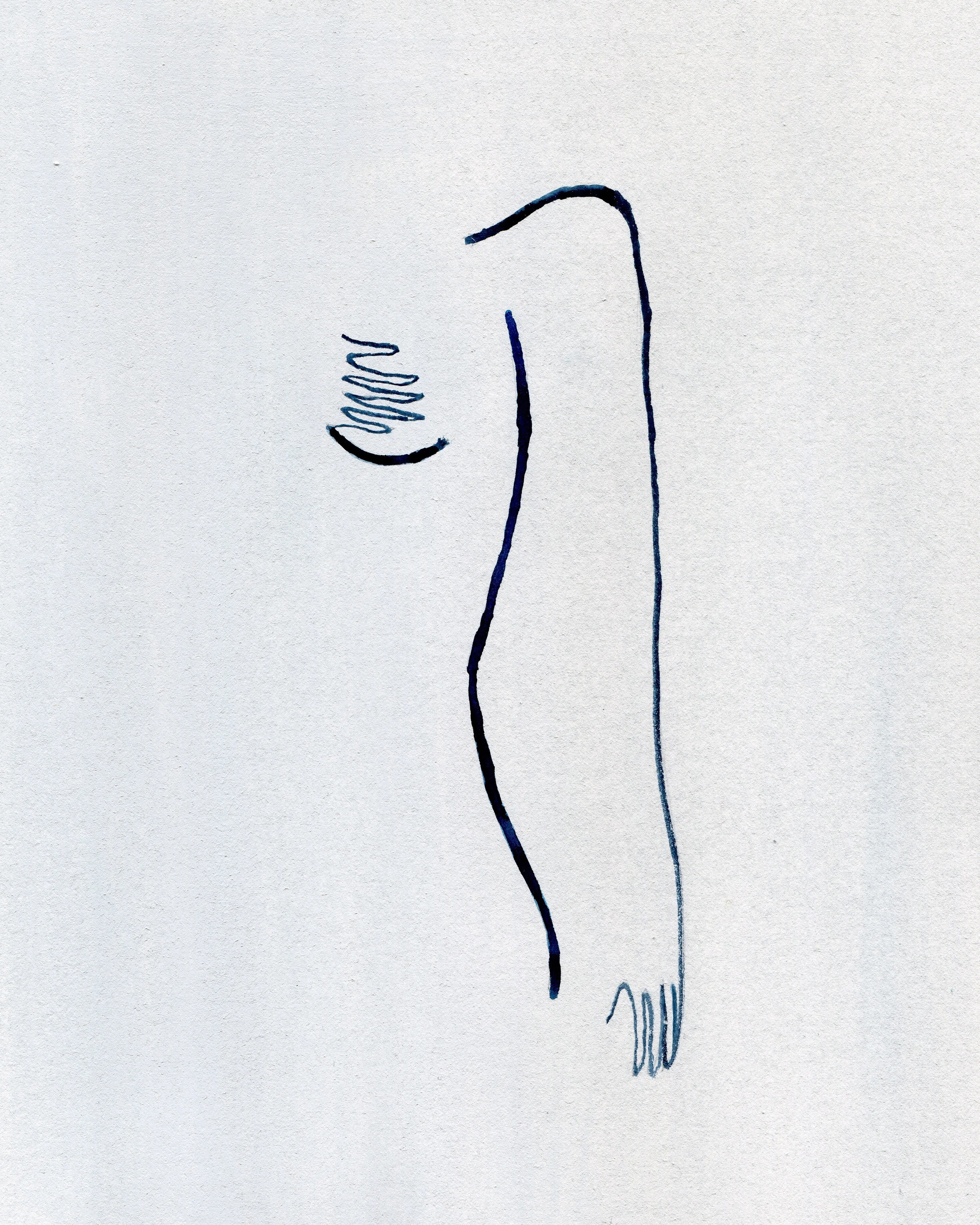 conceal