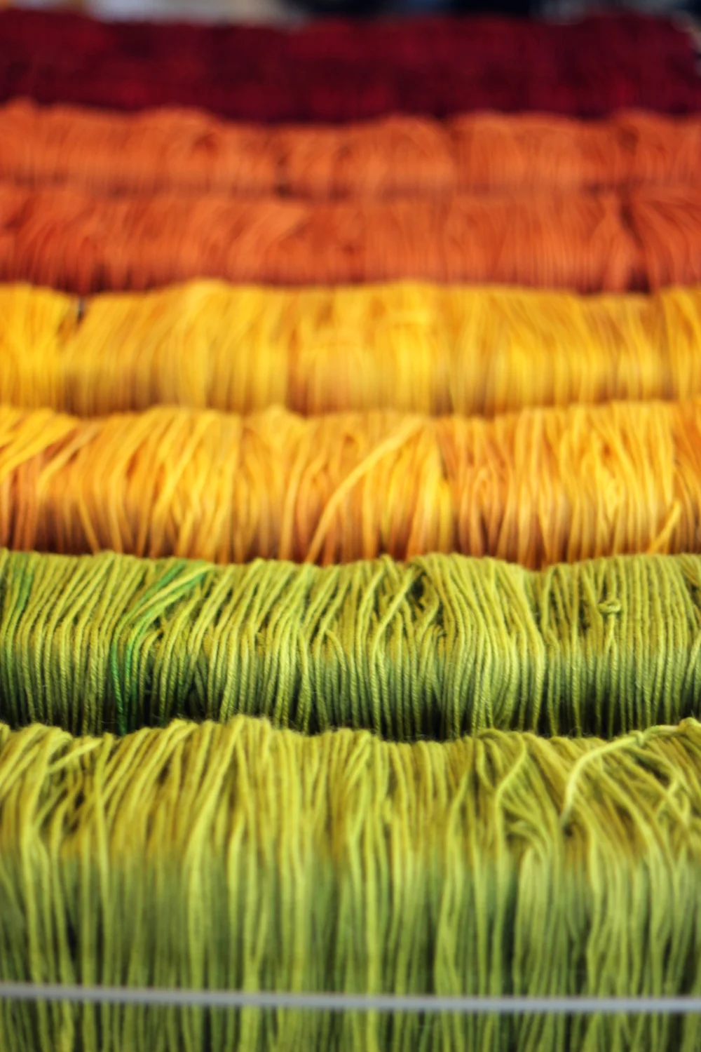 TFA Grey Label Merino/Alpaca Chunky in Chartreuse, Saffron, Pumpkin and Garnet.