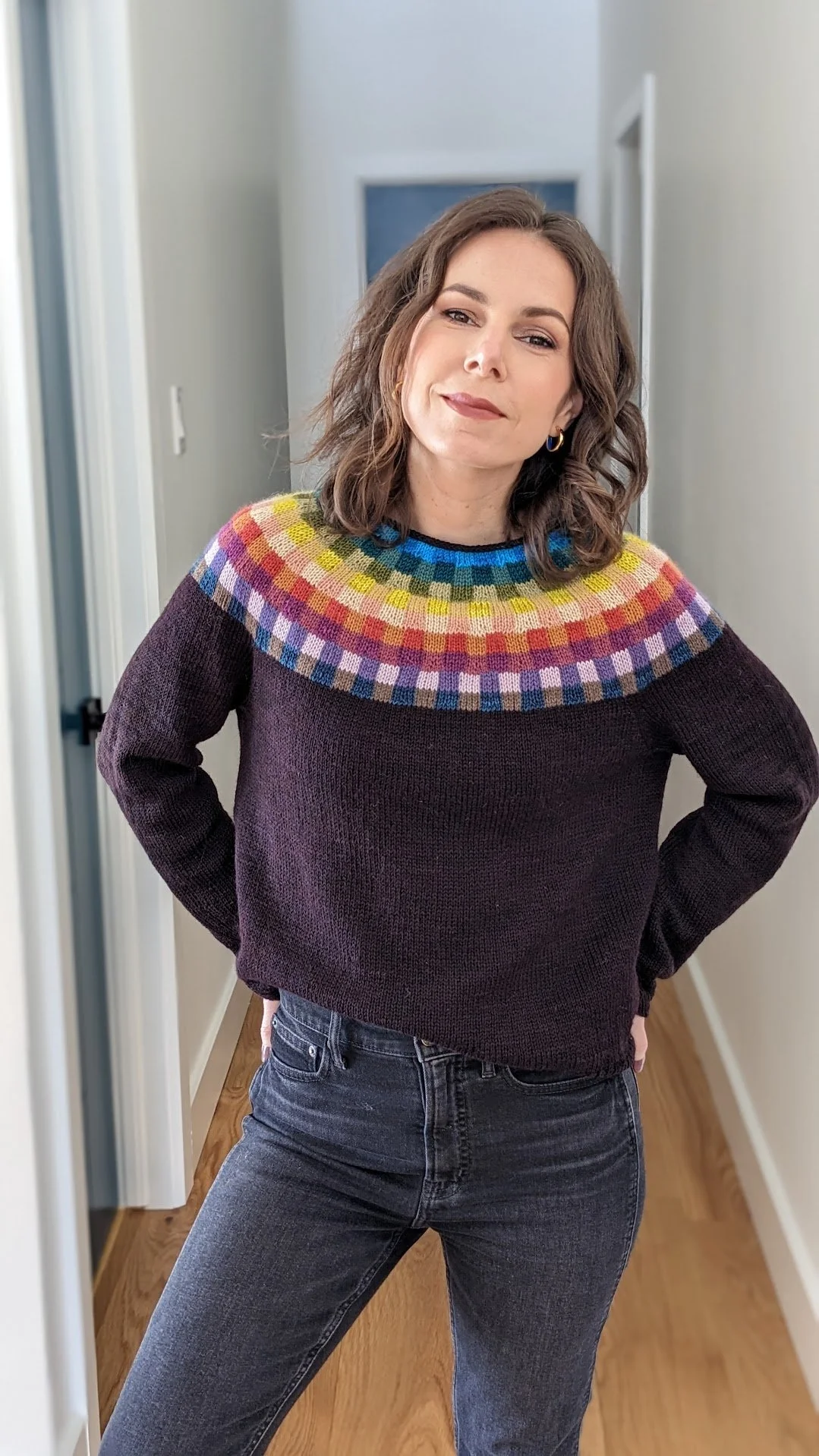 Paul Klee Sweater Kit — Tanis Fiber Arts